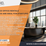 Why-Shared-Office-Rentals-Woodlands-Are-Ideal-for-Startups