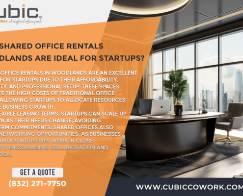 Why-Shared-Office-Rentals-Woodlands-Are-Ideal-for-Startups