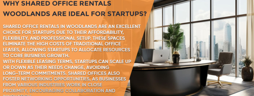 Why-Shared-Office-Rentals-Woodlands-Are-Ideal-for-Startups